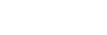 WISE STORE